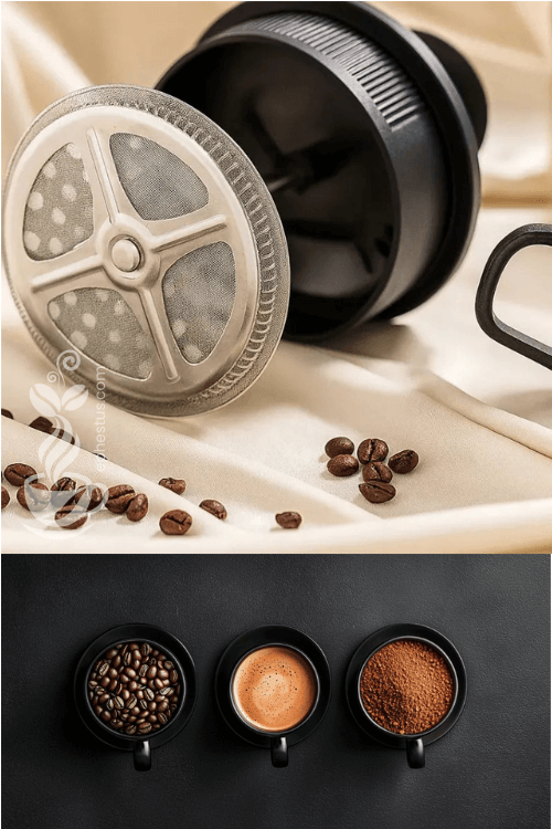 Prensa Francesa - Coffee Style